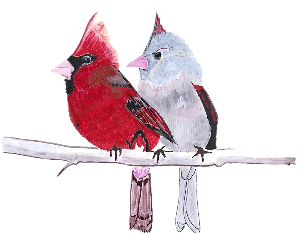 Pair Of Cardinals Art | Jean-Marie Salem