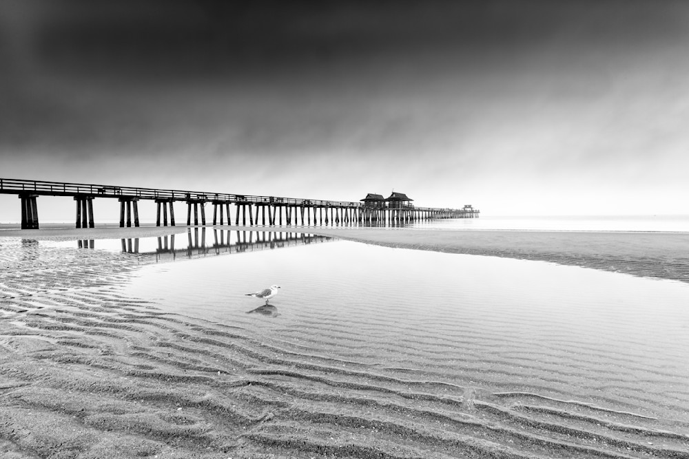 Naples Pier, Florida | FL | Photos | Dennis Goodman Photography