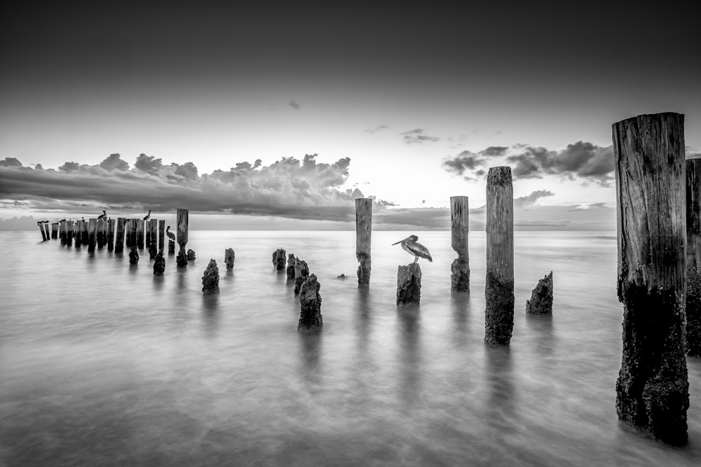 Florida | Pics | Wall Art | Images | Photos |Wallpapers| Pictures