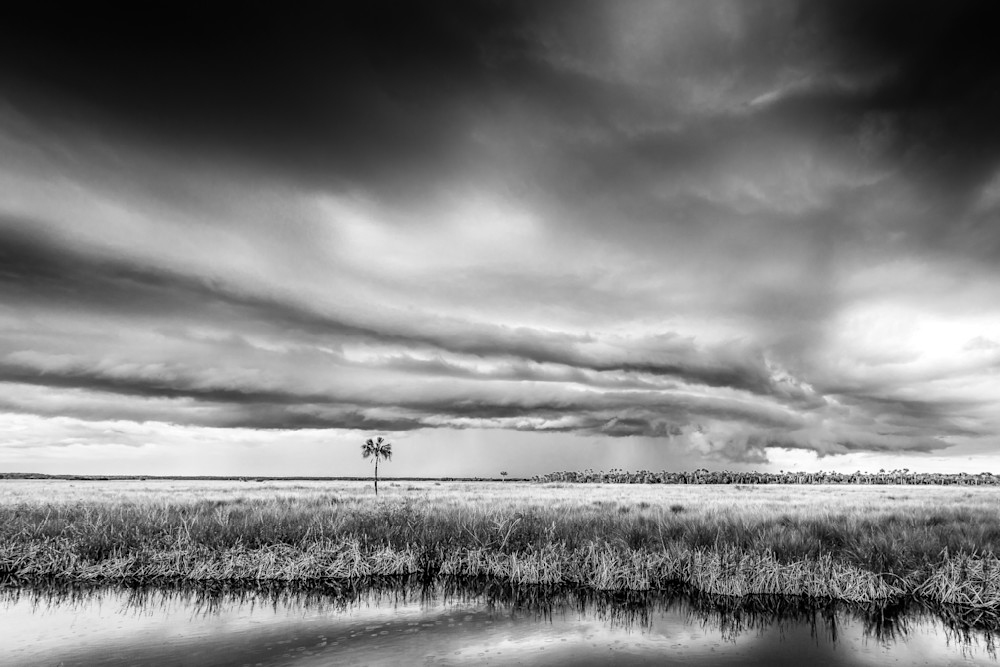 The Everglades National Park | Photos | Images | Pics | Art