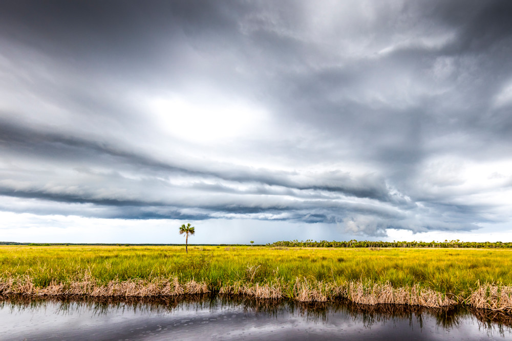 The Everglades National Park | Photos | Images | Pics | Art