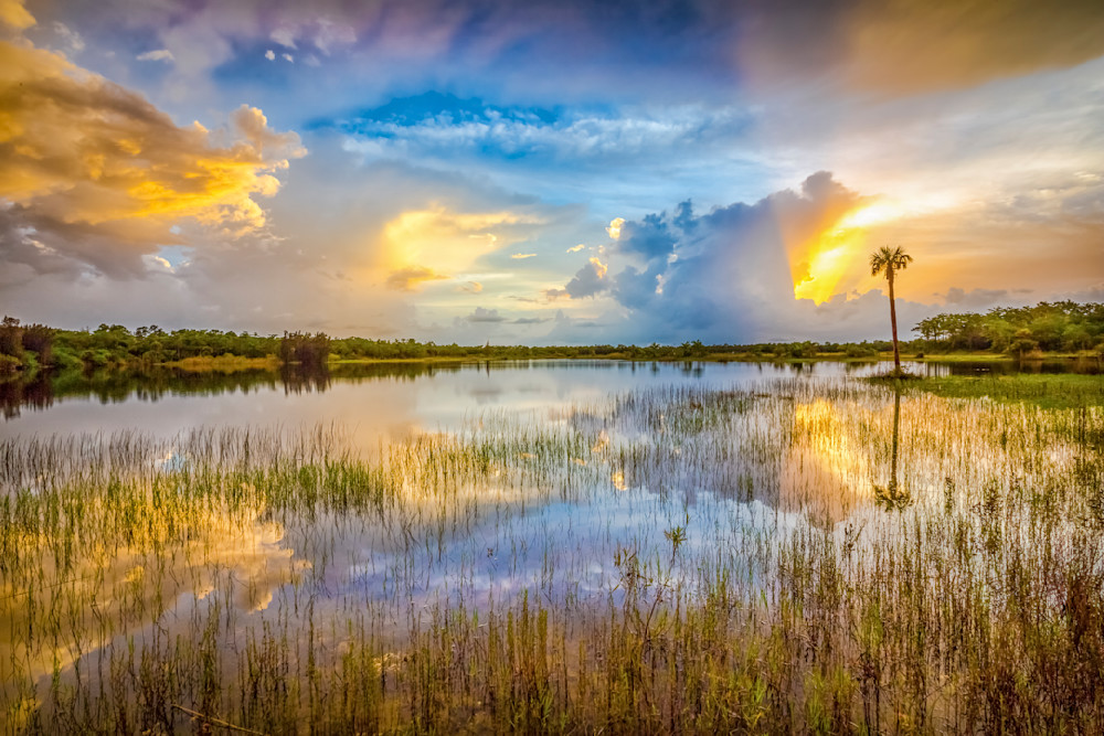 The Everglades National Park | Photos | Images | Pics | Art