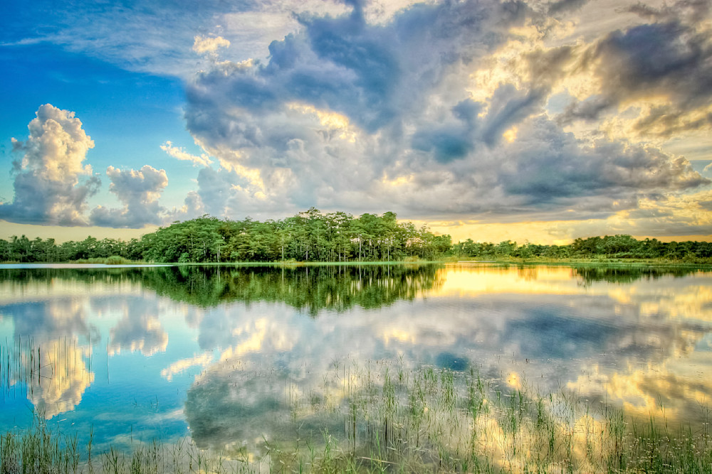 The Everglades National Park | Photos | Images | Pics | Art