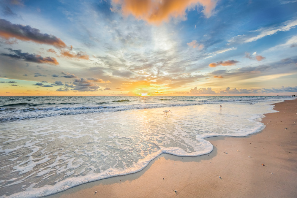 Ibis Images | Pics | Sunset | Dennis Goodman Photography