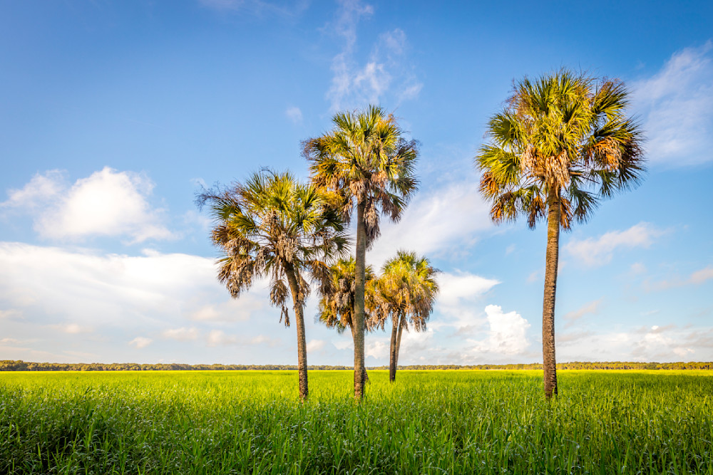 Myakka State Park Florida | FL | Photos 