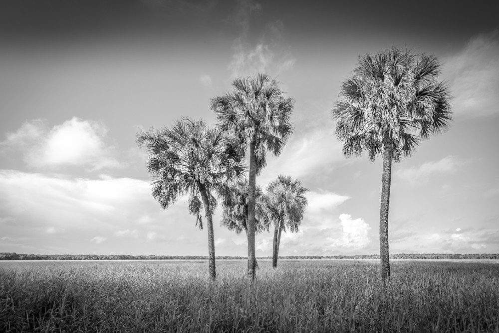 Myakka State Park Florida | FL | Photos 