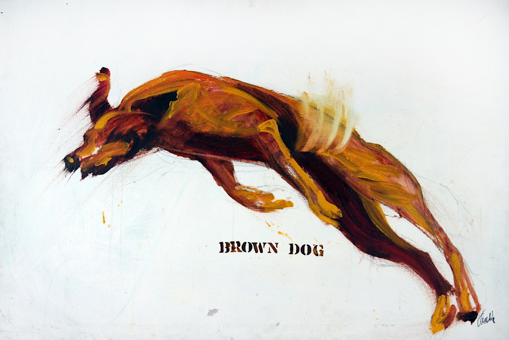 Brown Dog | Charlie Schmidt