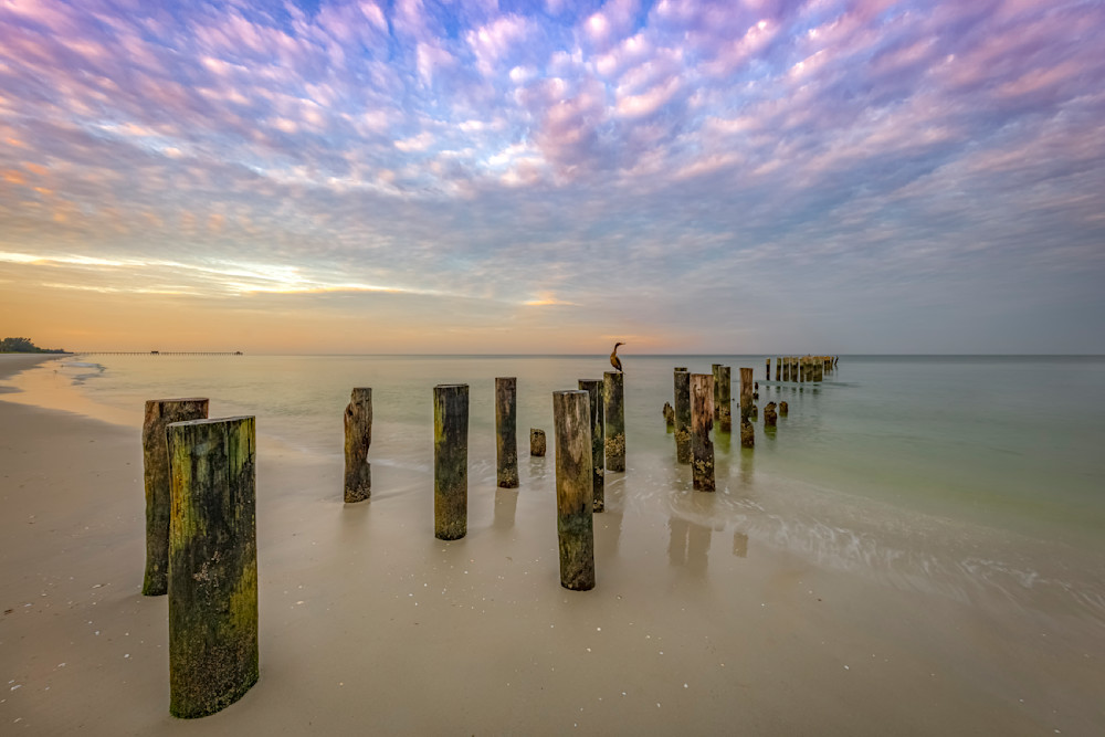 Florida | Pics | Wall Art | Images | Photos |Wallpapers| Pictures