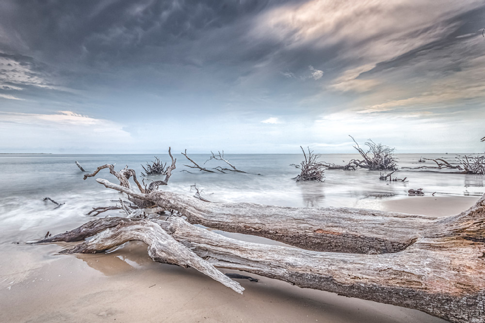 Big Talbot Island State Park​ | Jacksonville | Florida | FL