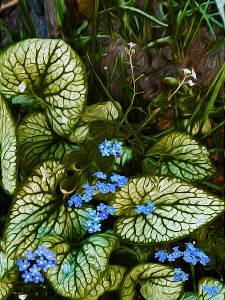 False Forget Me Nots  Art | Art from the Soul