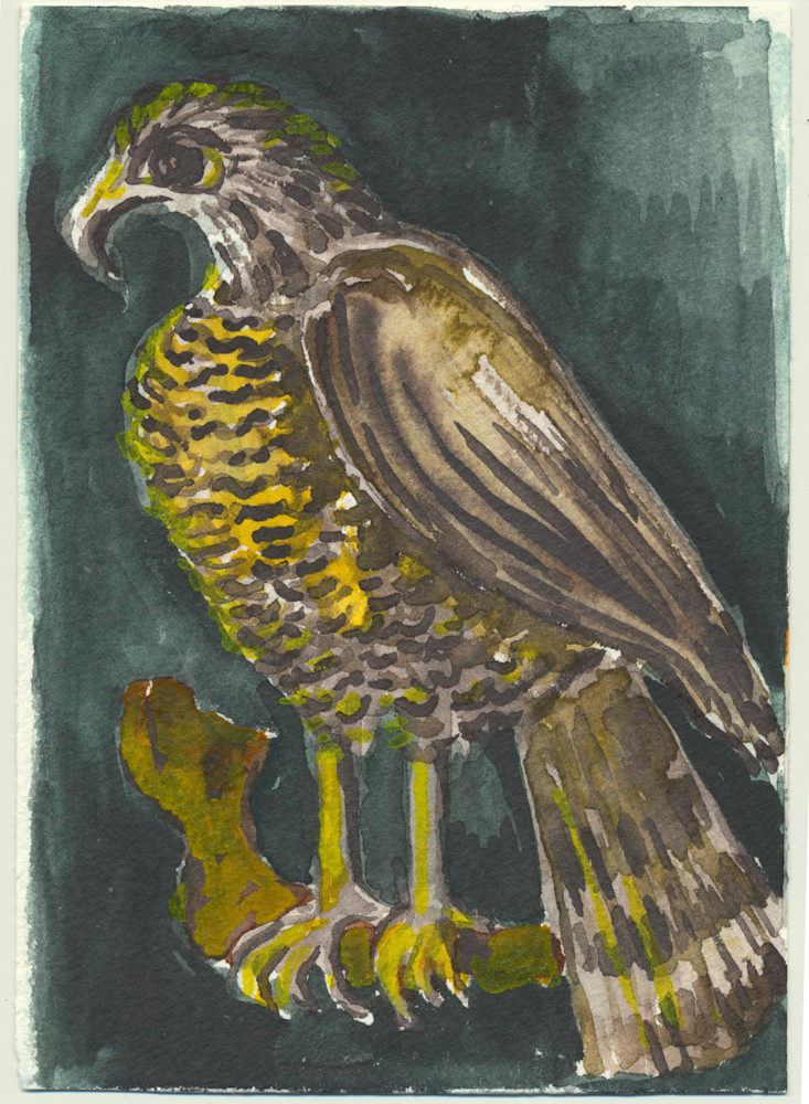 Museum Of Natural History Bird 2 Art | Andrea Strongwater