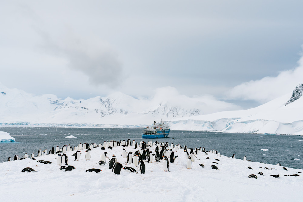 Antarctica: Damoy Point #5 Photography Art | Tamara Susa Photography Antarctica: Damoy Point #5 Photography Art | Tamara Susa Photography