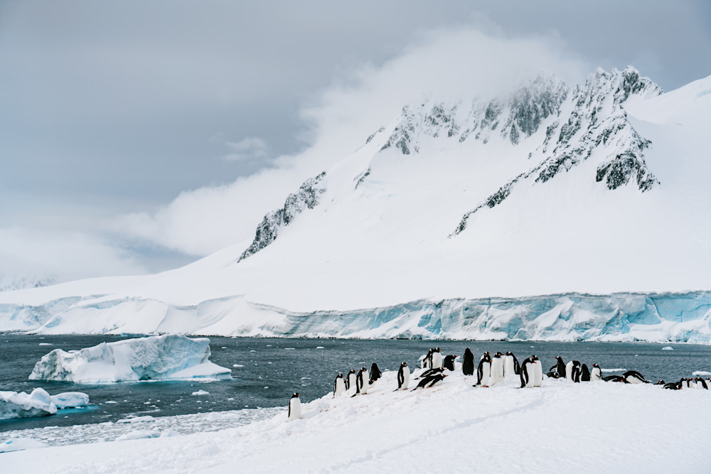 Antarctica: Damoy Point #2 Photography Art | Tamara Susa Photography Antarctica: Damoy Point #2 Photography Art | Tamara Susa Photography