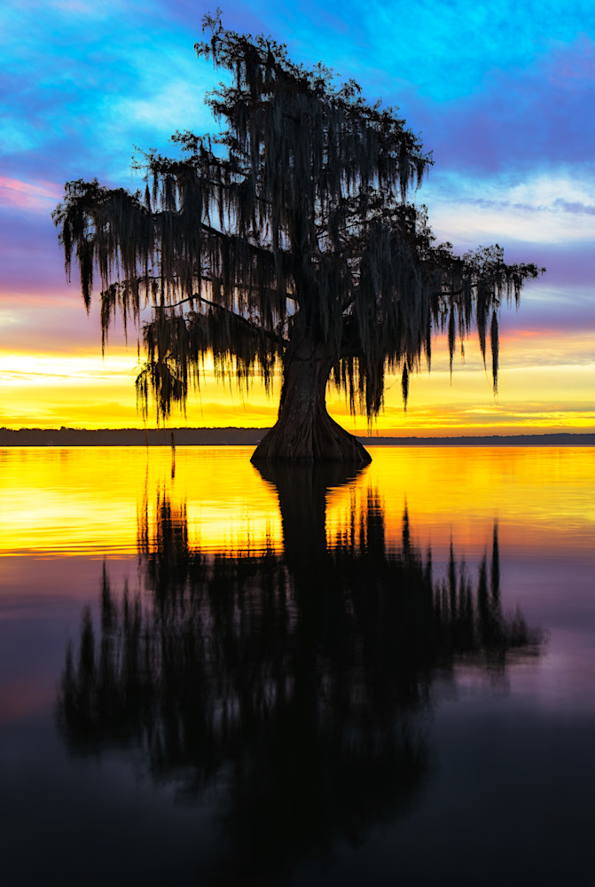 Mystical Dawn — Louisiana swamp fine-art photography prints