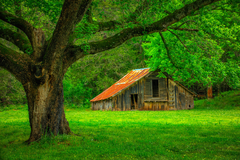 Timeless Boxley Valley Ar Photography Art | Dale F Meyer Photography