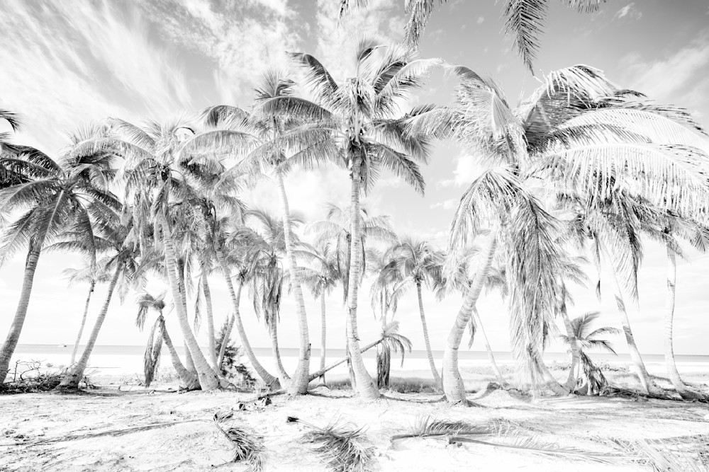 Fort Myers Beach 15 Photography Art | Dennis Goodman Photography