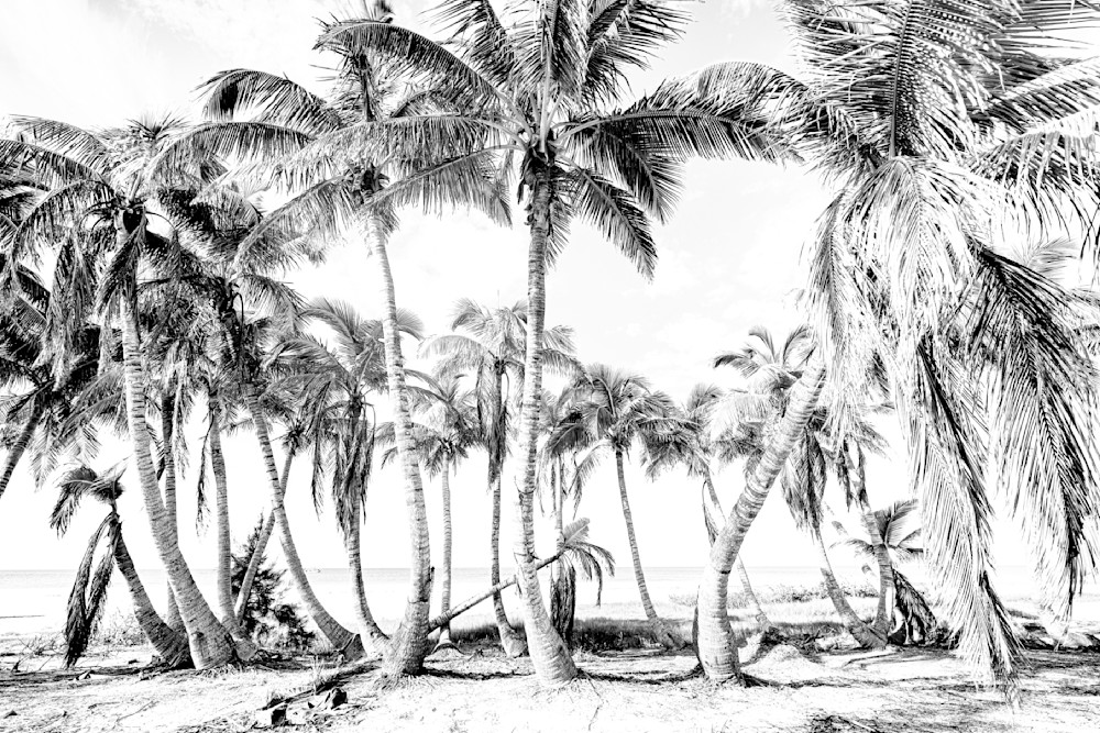 Fort Myers Beach Photos | Florida | FL | Images