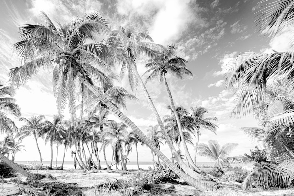 Fort Myers Beach Photos | Florida | FL | Images