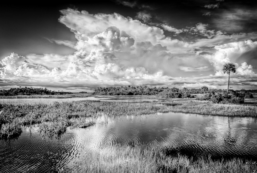 The Everglades National Park | Photos | Images | Pics | Art