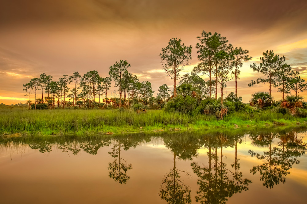 The Everglades National Park | Photos | Images | Pics | Art