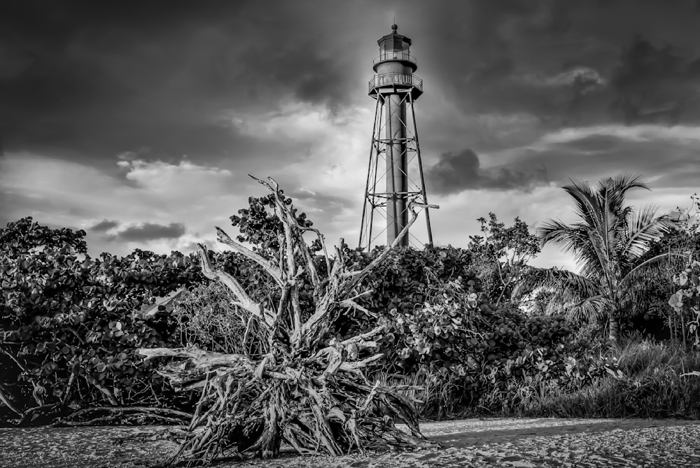 Sanibel Island Photos | Dennis Goodman Photography