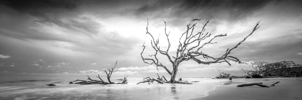Jekyll Island Photos | Images | Georgia | GA | Pics