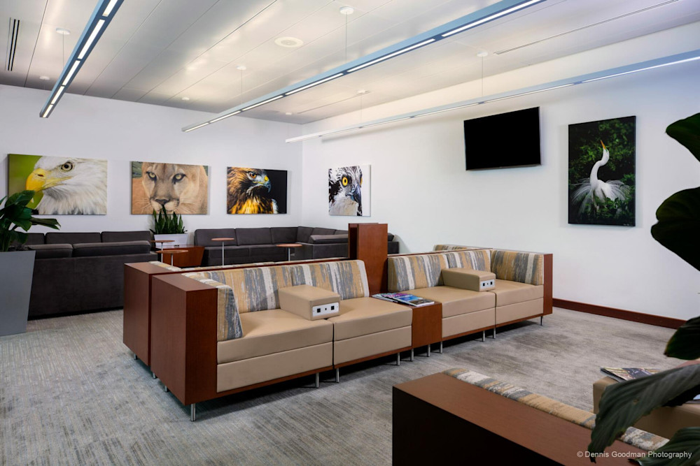 Photographs | Art | Images | Photos | Dennis Goodman Photography