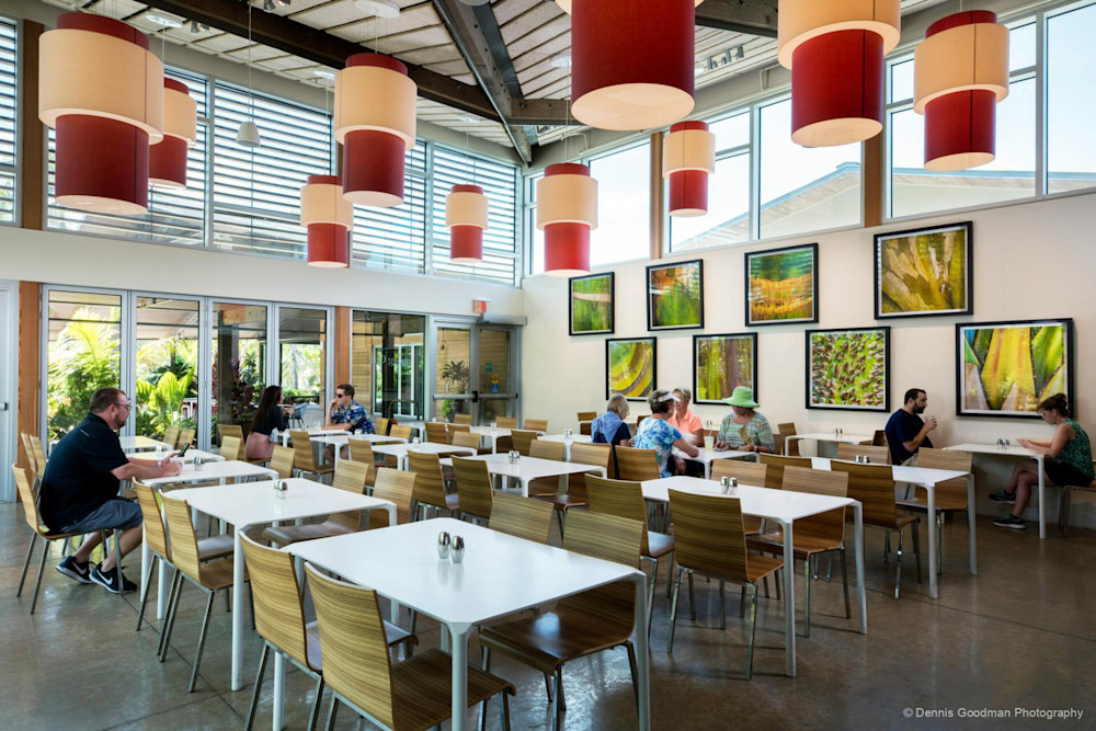 Photographs | Art | Images | Photos | Dennis Goodman Photography