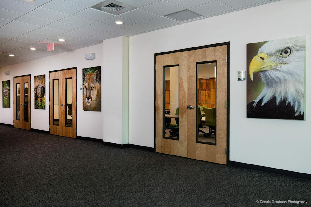 Photographs | Art | Images | Photos | Dennis Goodman Photography