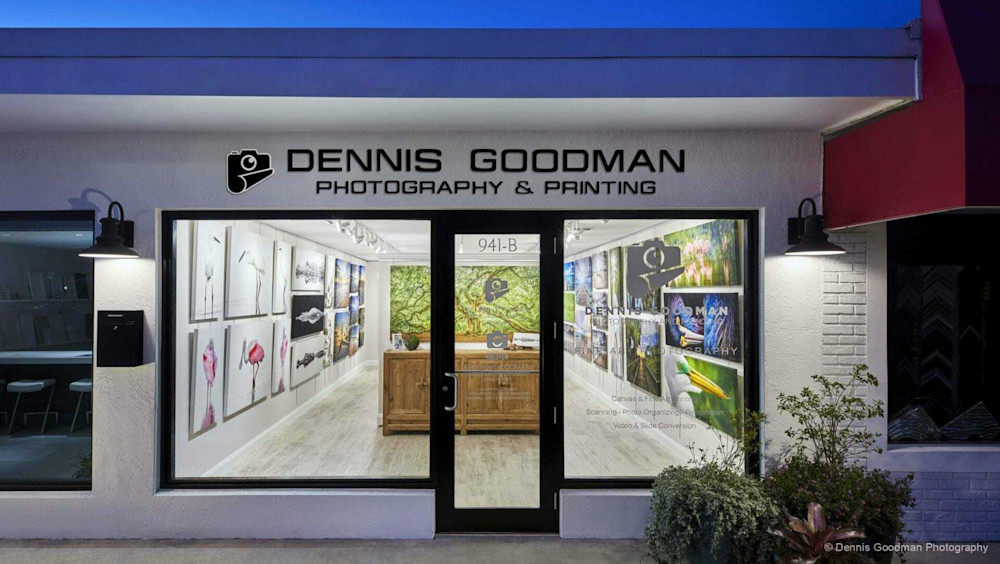 Dennis Goodman Photography | Naples | FL| Florida| Photos