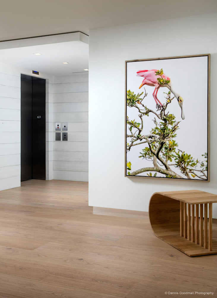 Kalea Bay Photos | Naples | Florida | FL 