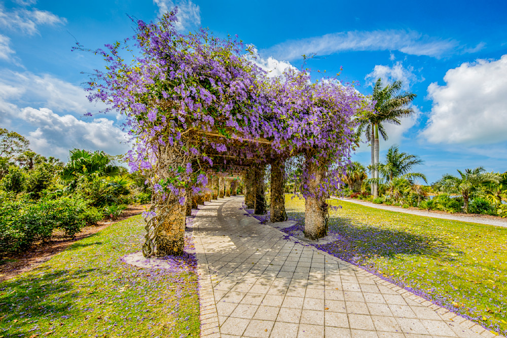 Botanical Photos | Pictures | Pics | Images | Wallpapers |  Wall Art