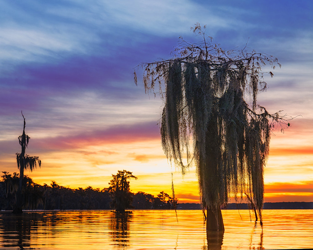 Louisiana Luminance — Louisiana swamps fine-art photography prints