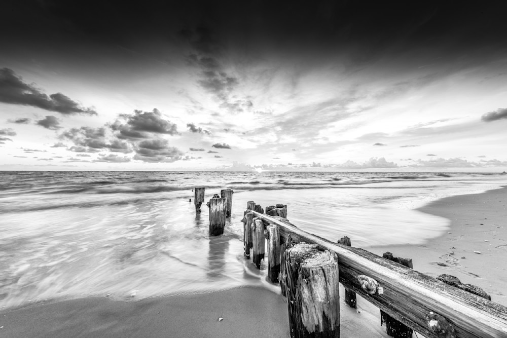 Beach | Tree | Florida | FL | Images 