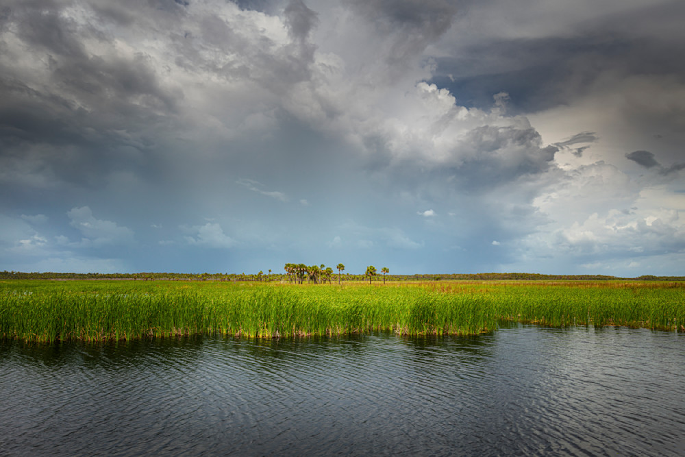 The Everglades National Park | Photos | Images | Pics | Art
