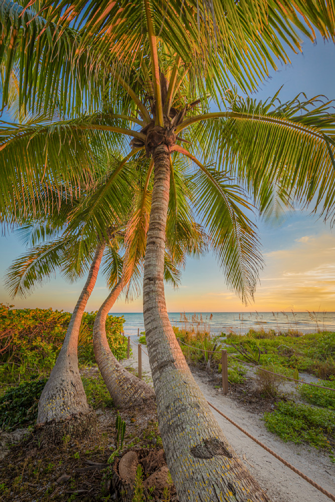 Sanibel Island Photos | Dennis Goodman Photography