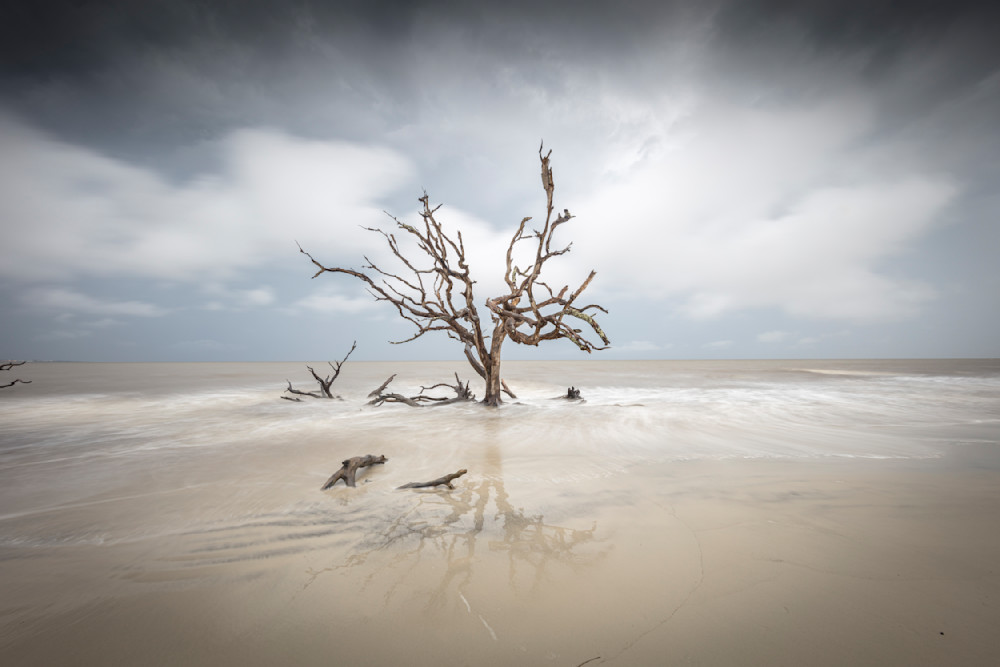 Jekyll Island Photos | Images | Georgia | GA | Pics