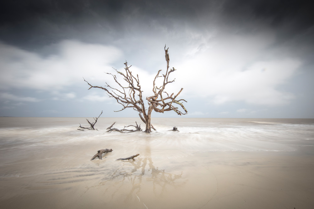 Jekyll Island Fourteen Version Two