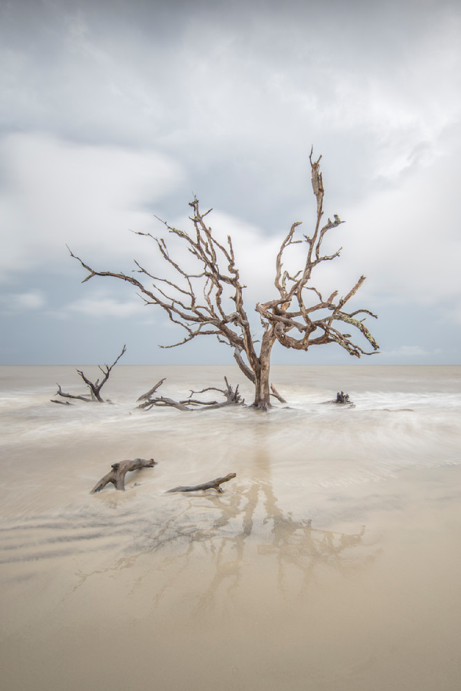 Jekyll Island Photos | Images | Georgia | GA | Pics