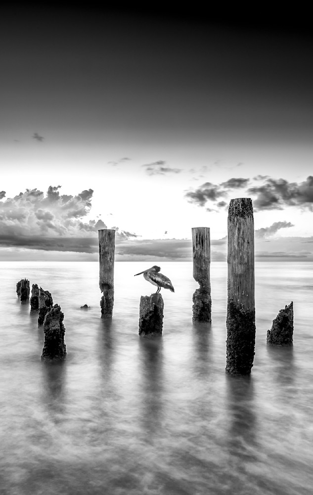 Florida | Pics | Wall Art | Images | Photos |Wallpapers| Pictures