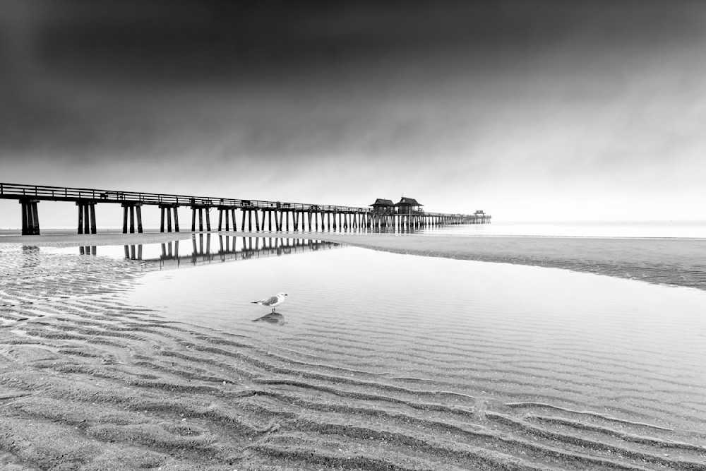 Naples Pier Two Black and White
