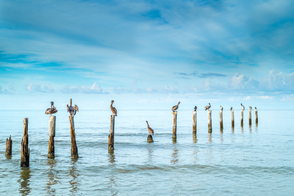 Bids | Photos | Pictures | Images | Pics | Wallpapers | Wall Art