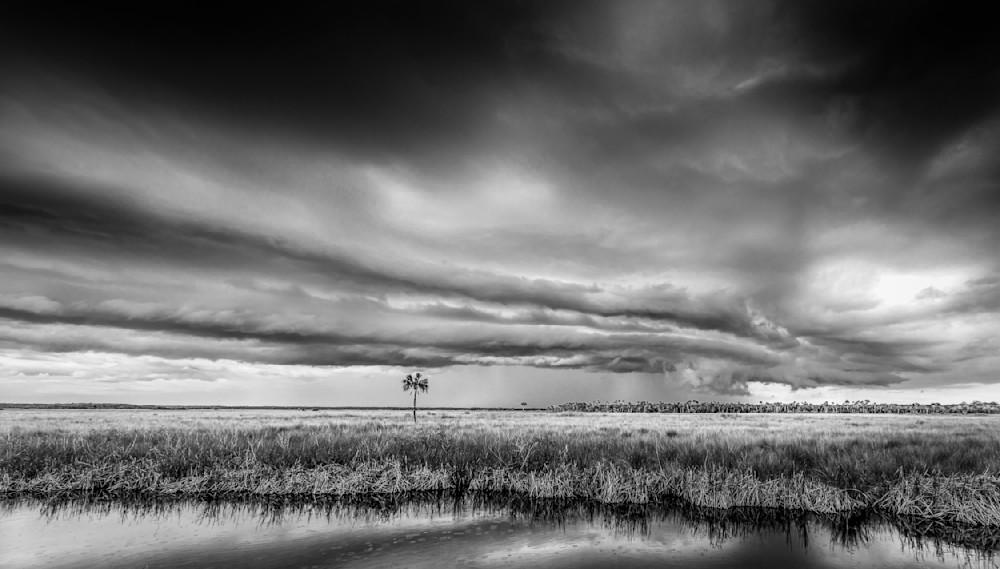 Everglades 9