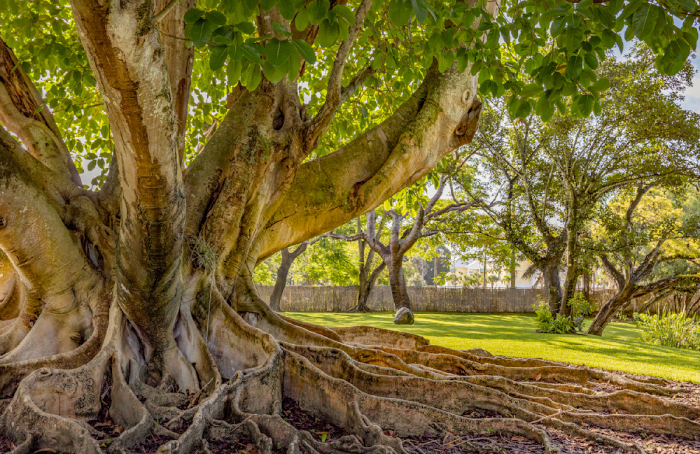 Photographs | Art | Images | Photos | Wall Art | Wallpapers