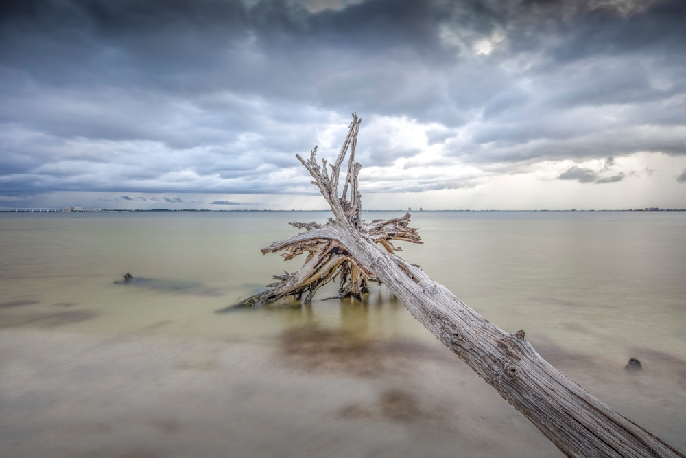 Sanibel Island Photos | Dennis Goodman Photography