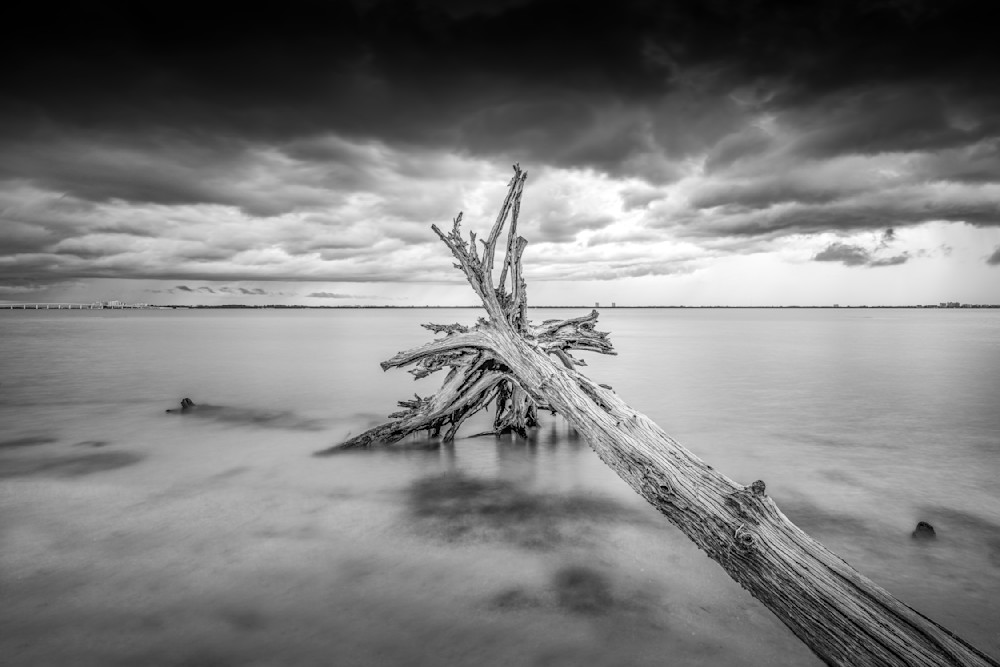 Sanibel Island Photos | Dennis Goodman Photography