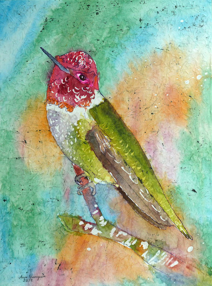 Resting Hummingbird Art | nunziata