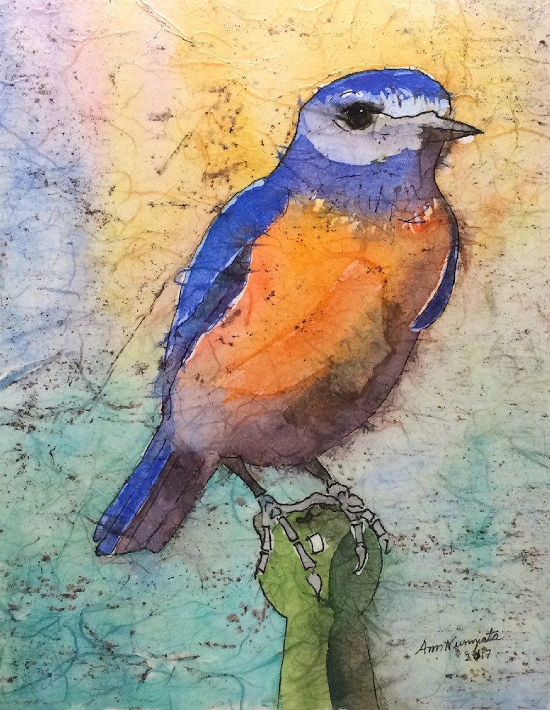Western Bluebird Art | nunziata