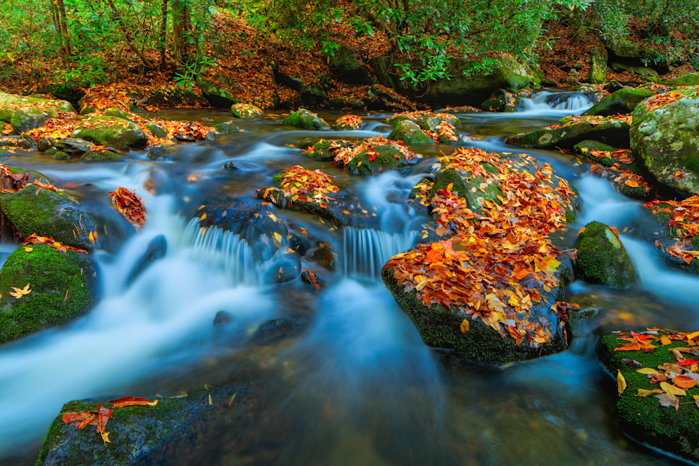 Great Smokey Mountains Little River Photography Art | Dale F Meyer Photography