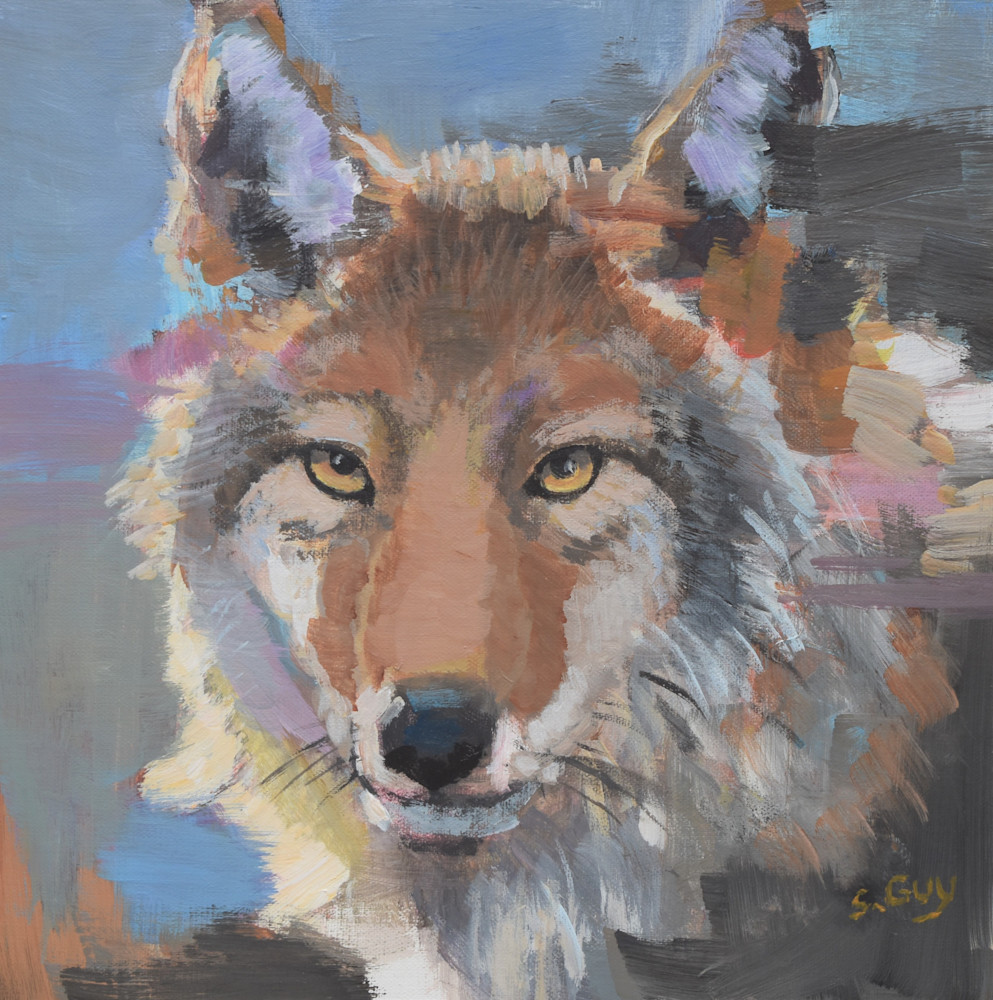 10x10 Coyote Blues Art | Sharon Guy 